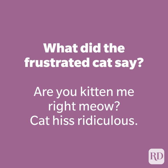 What did the frustrated cat say? 