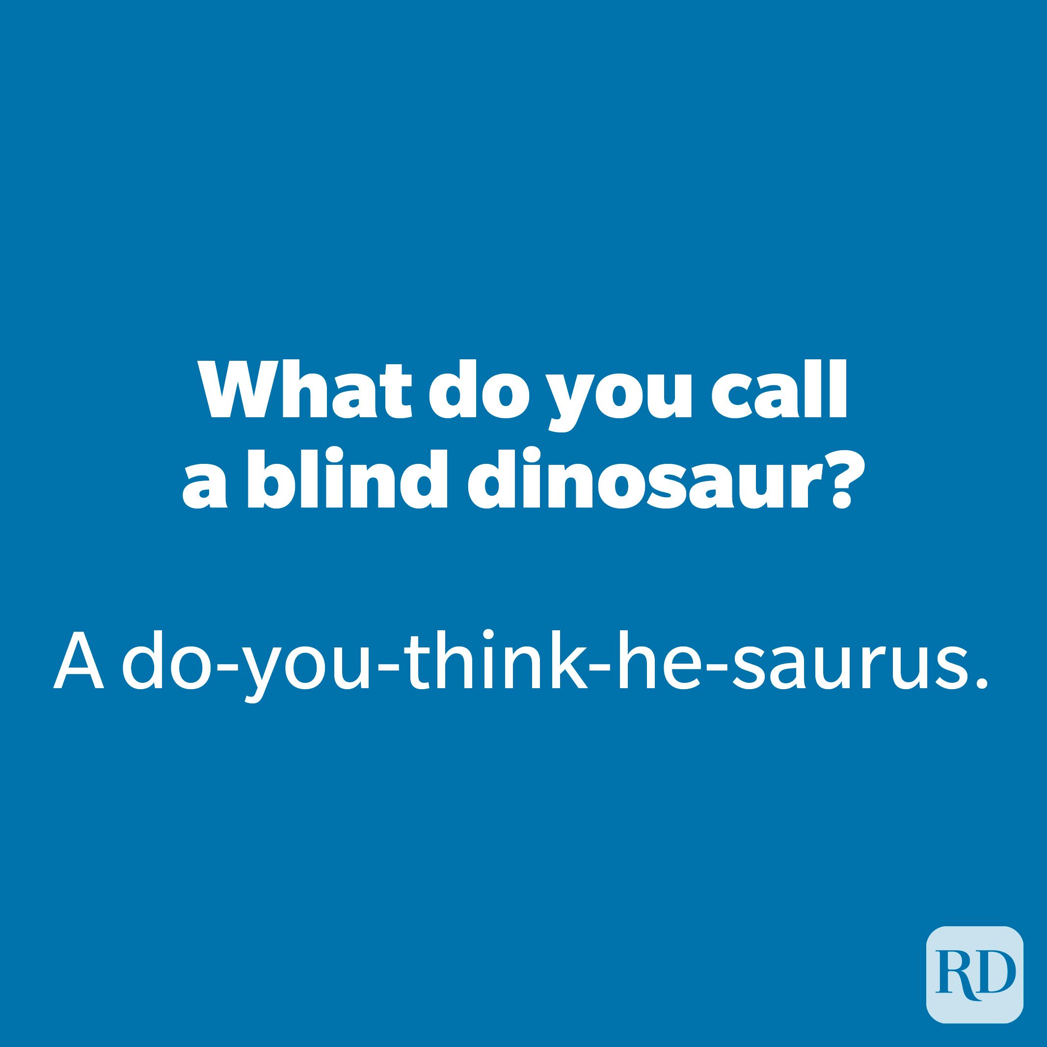 What do you call a blind dinosaur? 