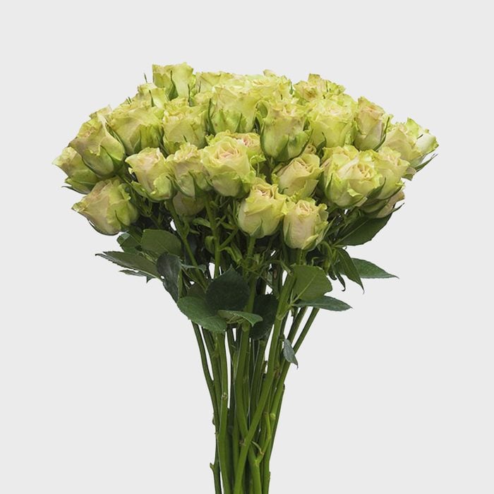 5 Green Rose Bouquet Via Flowerexplosion Ecomm