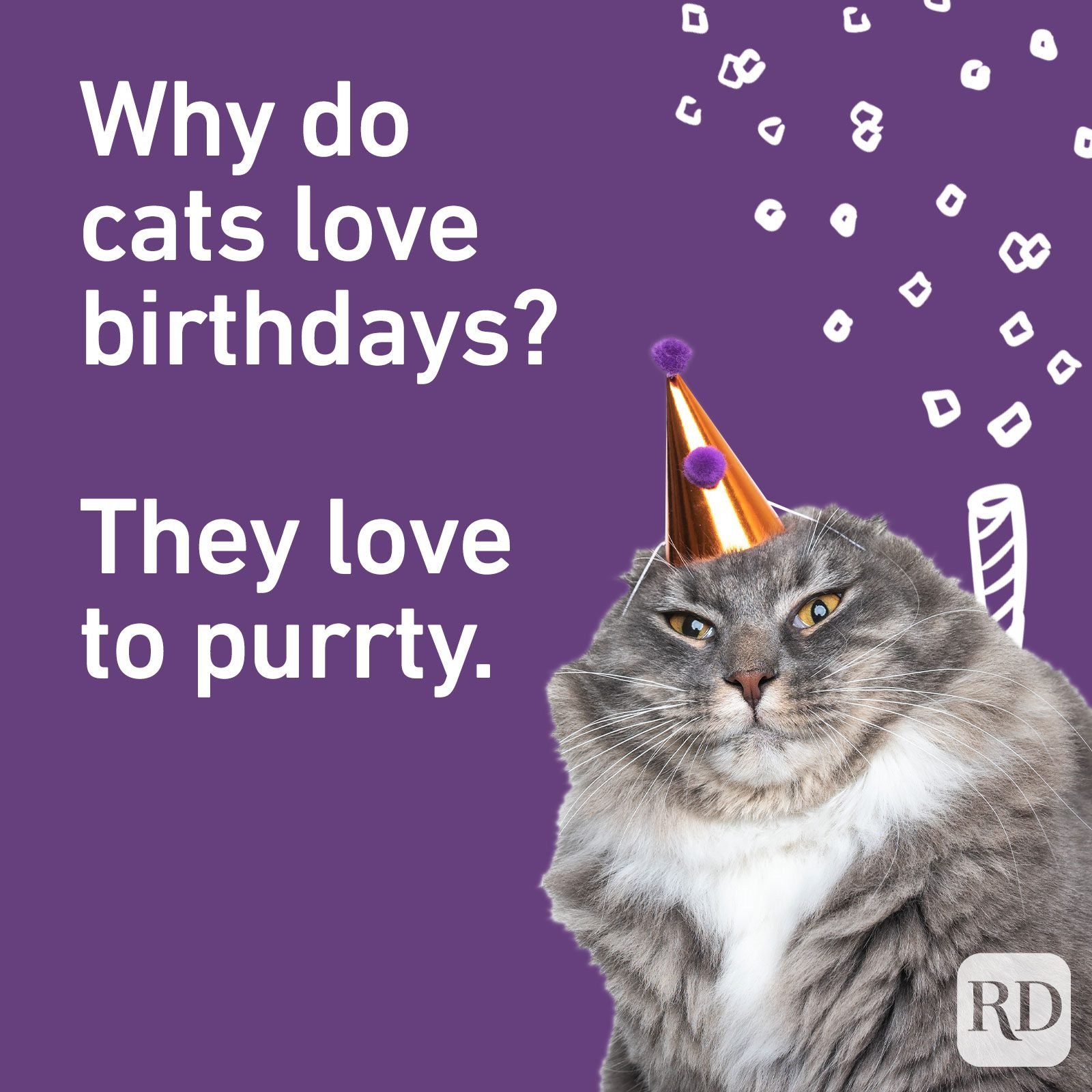 Why do cats love birthdays? They love to purrty.