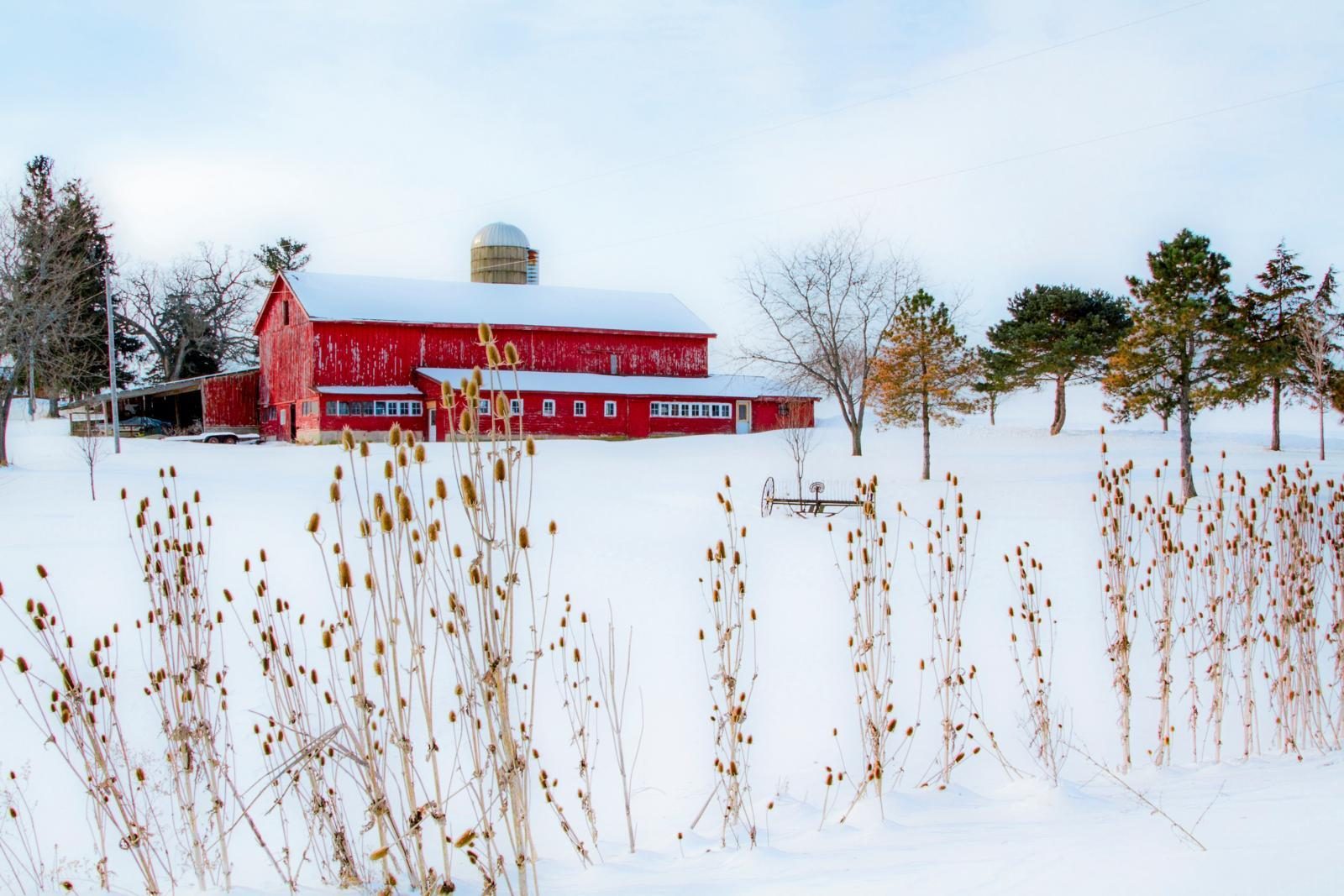 Red barn in winter cnow