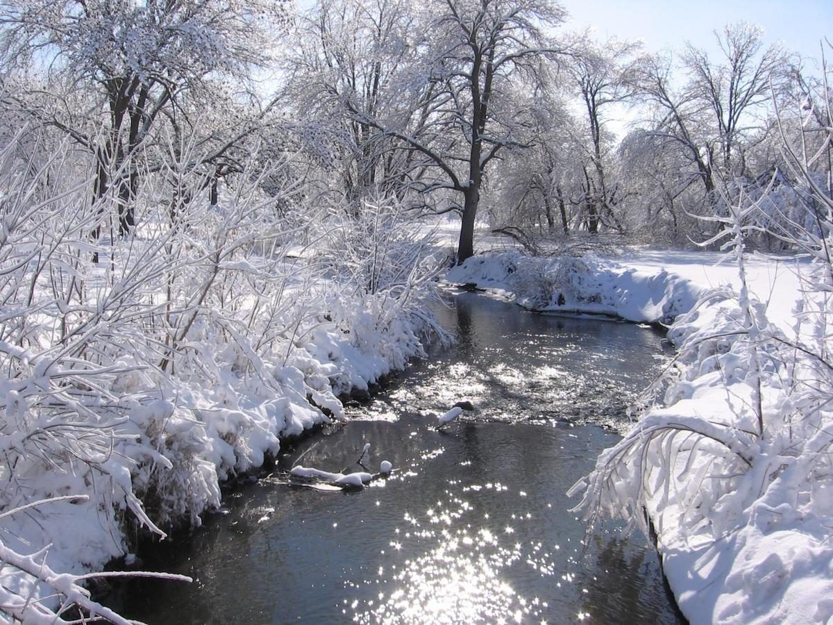Winter view of a flowing river with snow-covered banks and trees.