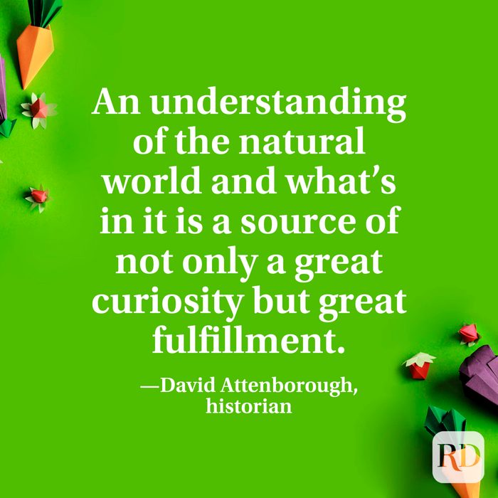 “An understanding of the natural world and what’s in it is a source of not only a great curiosity but great fulfillment.” —David Attenborough, historian.