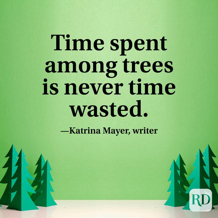“Time spent among trees is never time wasted.” —Katrina Mayer, writer
