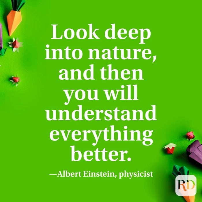 “Look deep into nature, and then you will understand everything better.” —Albert Einstein, physicist