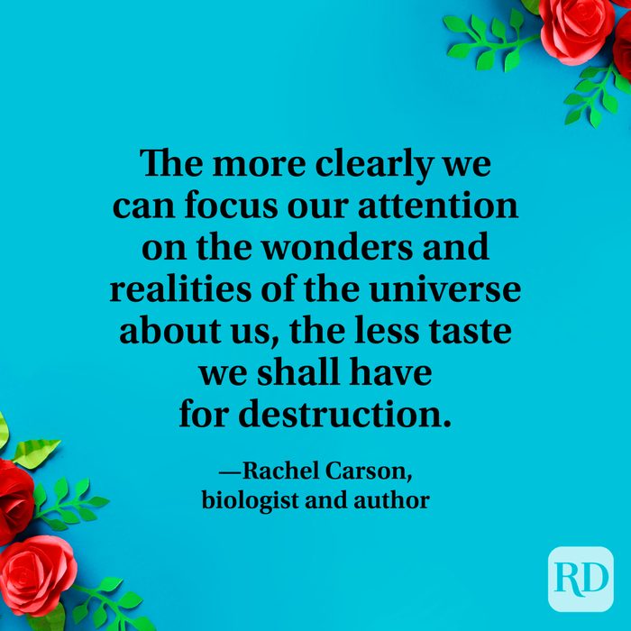 “The more clearly we can focus our attention on the wonders and realities of the universe about us, the less taste we shall have for destruction.” —Rachel Carson, biologist and author