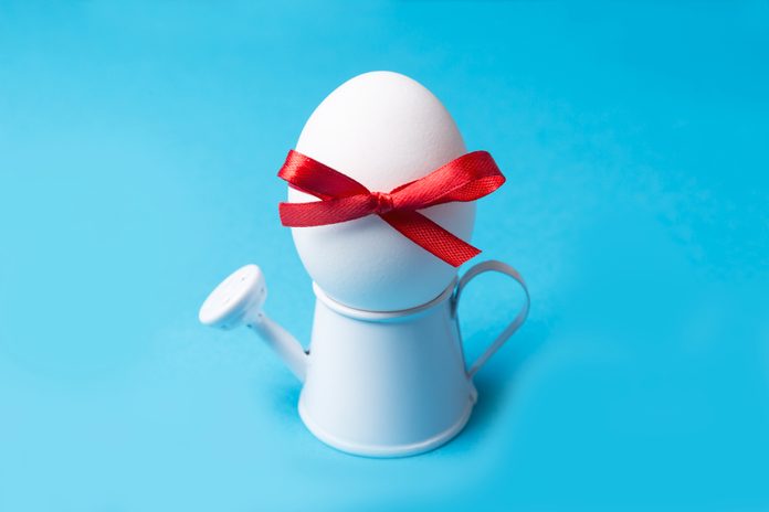 White egg wrapped around with red ribbon on a toy watering can on blue background.
