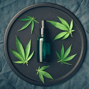 cannabis products CBD oil, hemp leaves on a dark bed sheet background