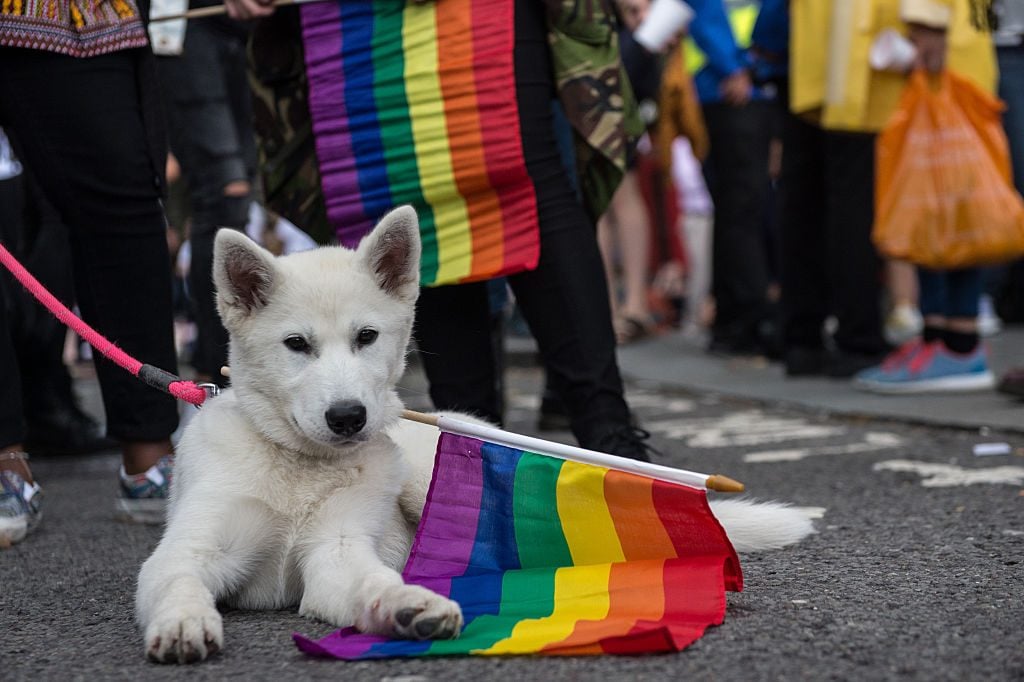 The LGBT Community Celebrates Pride In London