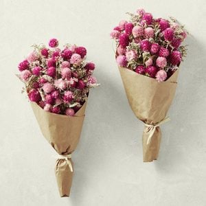 Williams Sonoma Pink Strawflower Bouquet