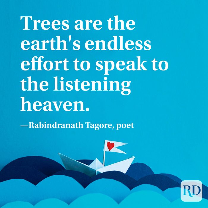 Earth Day Quote By Rabindranath Tagore