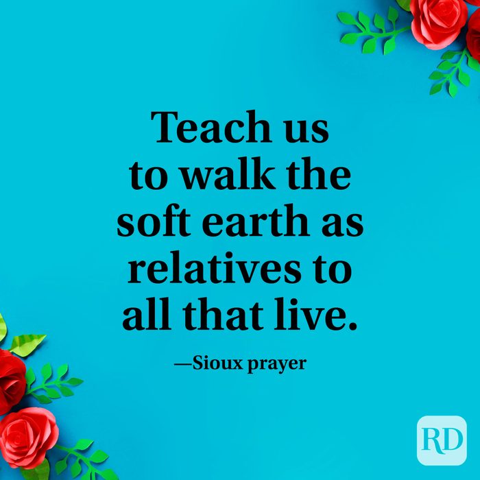Earth Day Quote From A Sioux Prayer