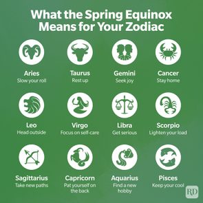 Spring Equinox Zodiac