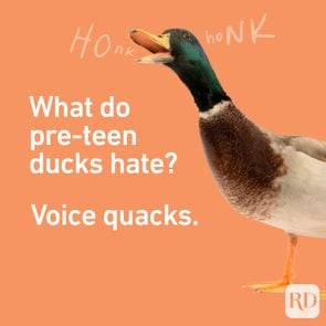 Teenjokes Quacks