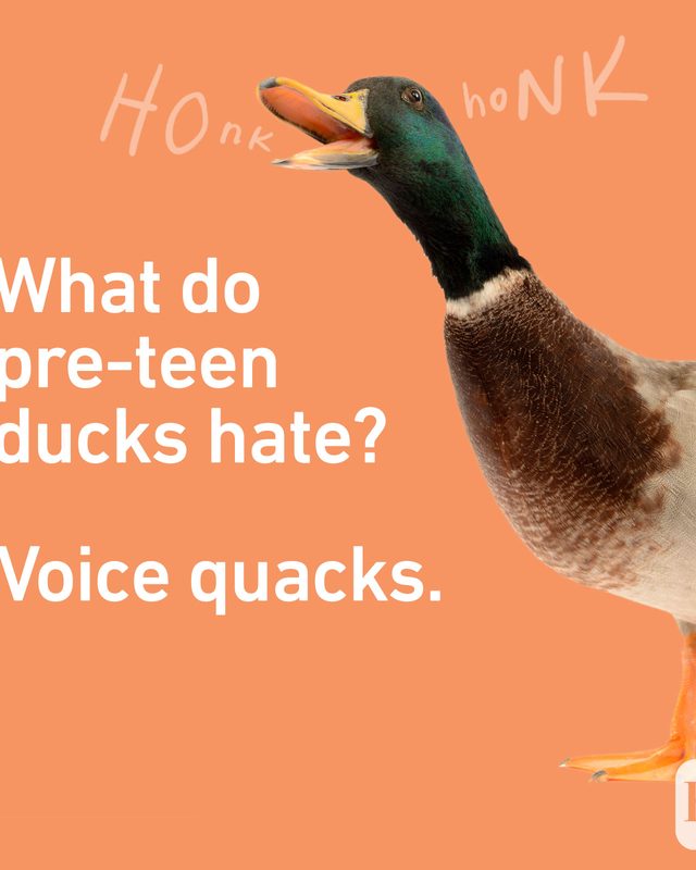 Teenjokes Quacks