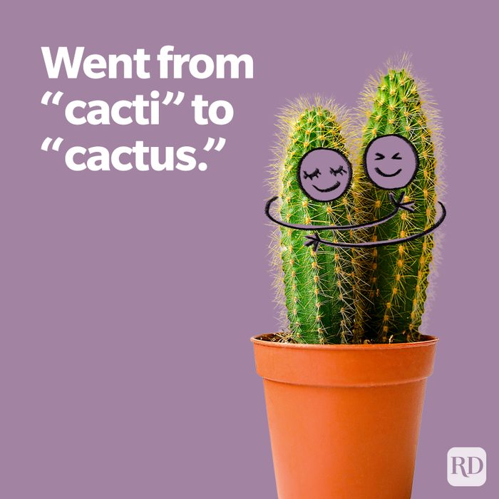 Valentine Cacti To Cactus