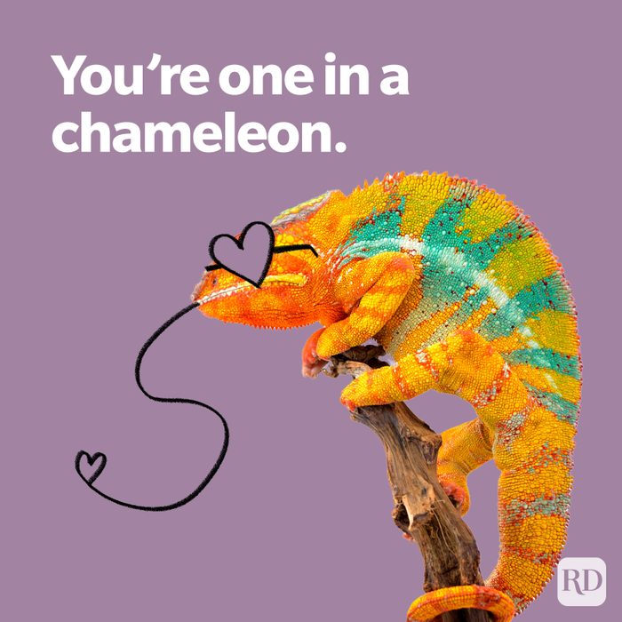 Valentine Youre On In A Chameleon