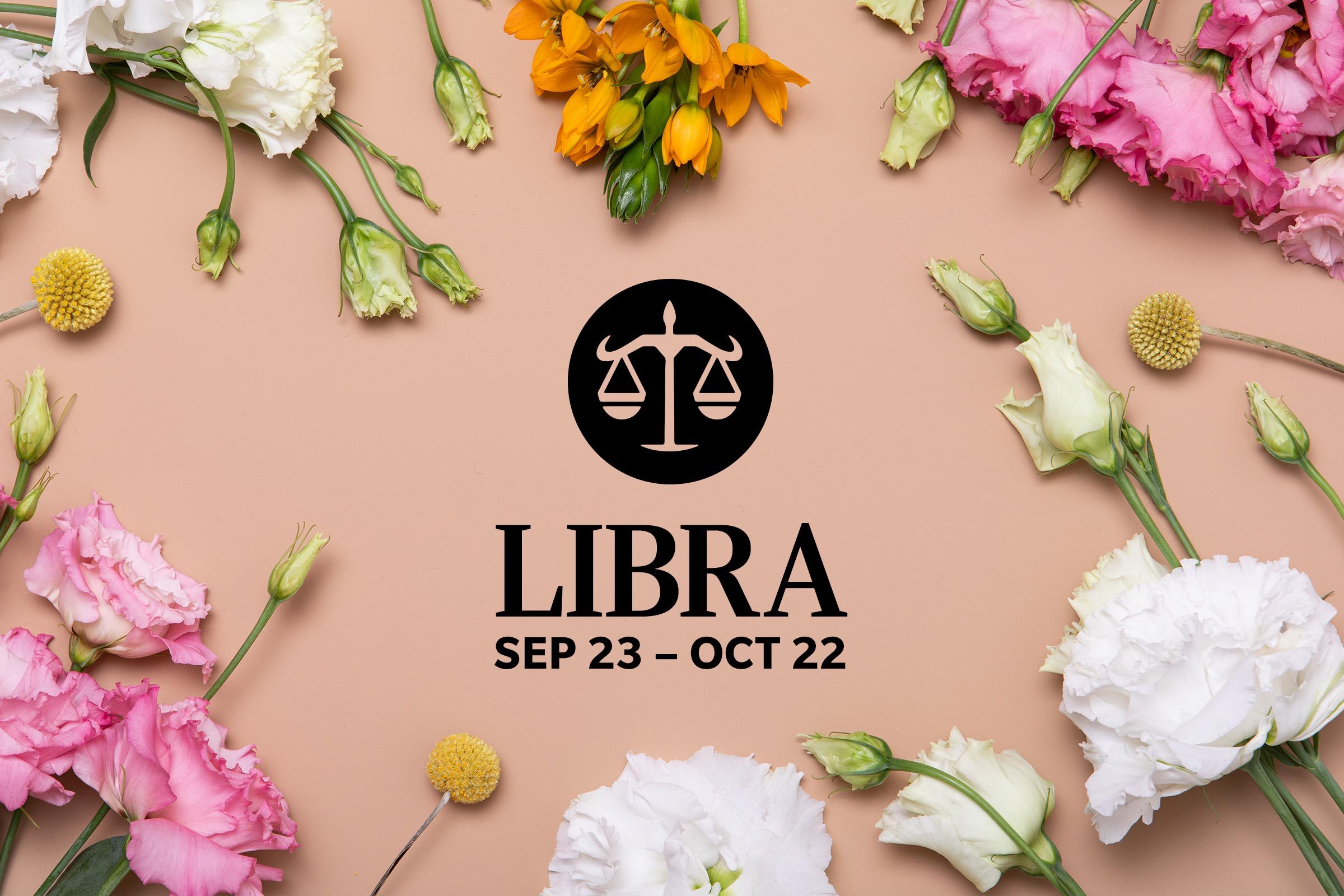 Libra (September 23-October 23)