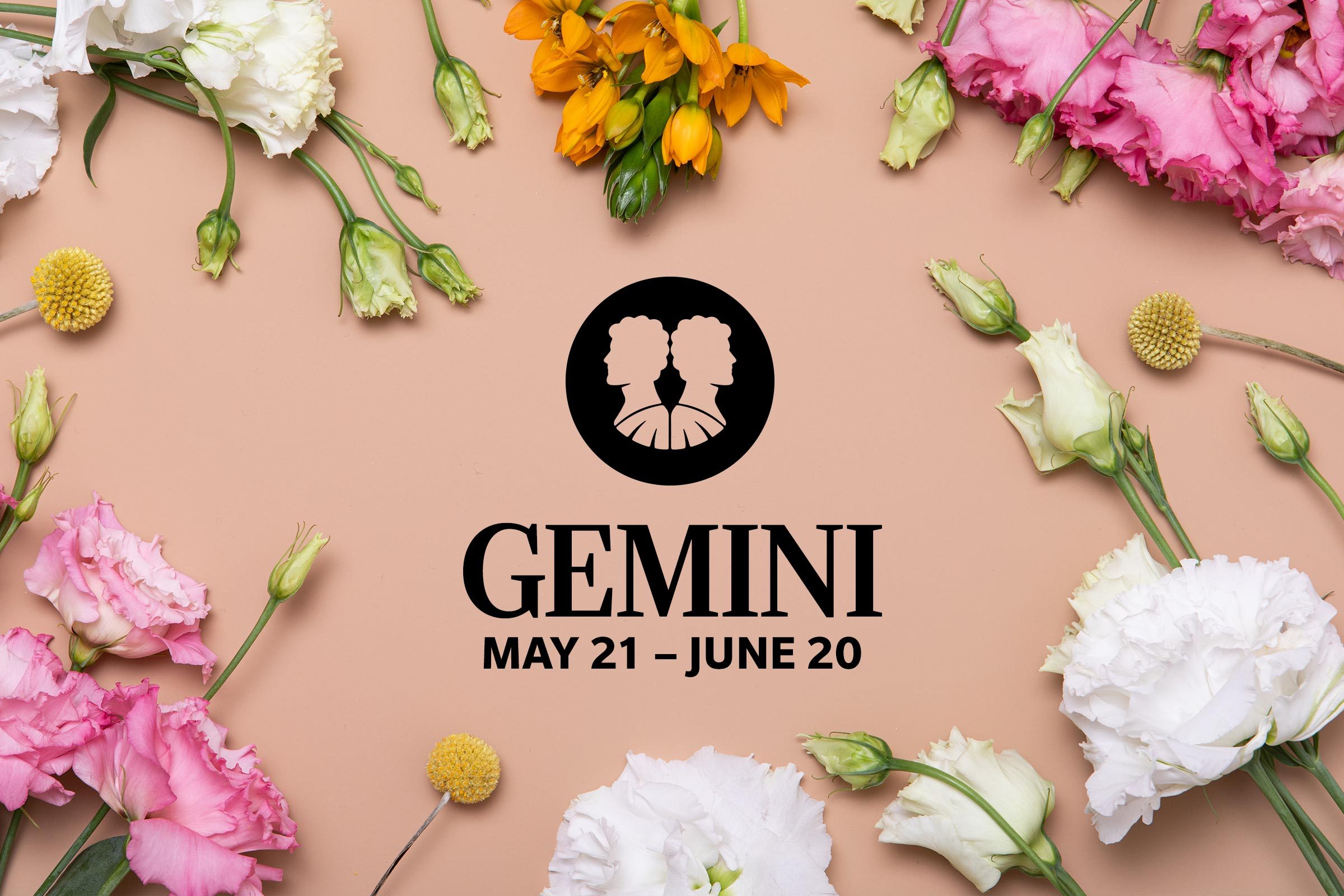 Gemini (May 21-June 21)
