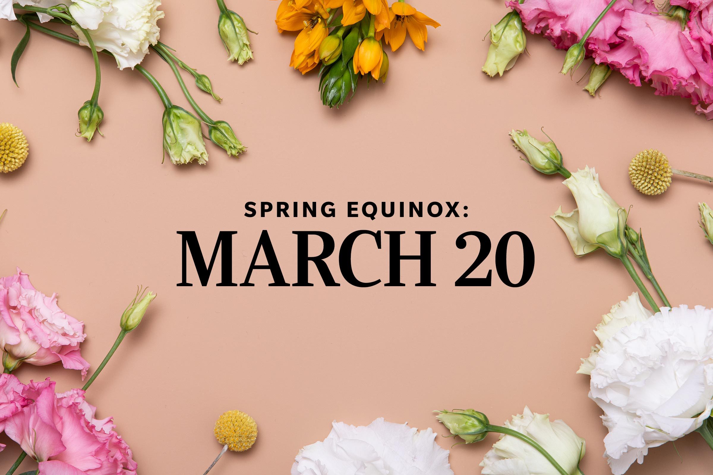 floral background with text that says "Spring equinox: march 20"
