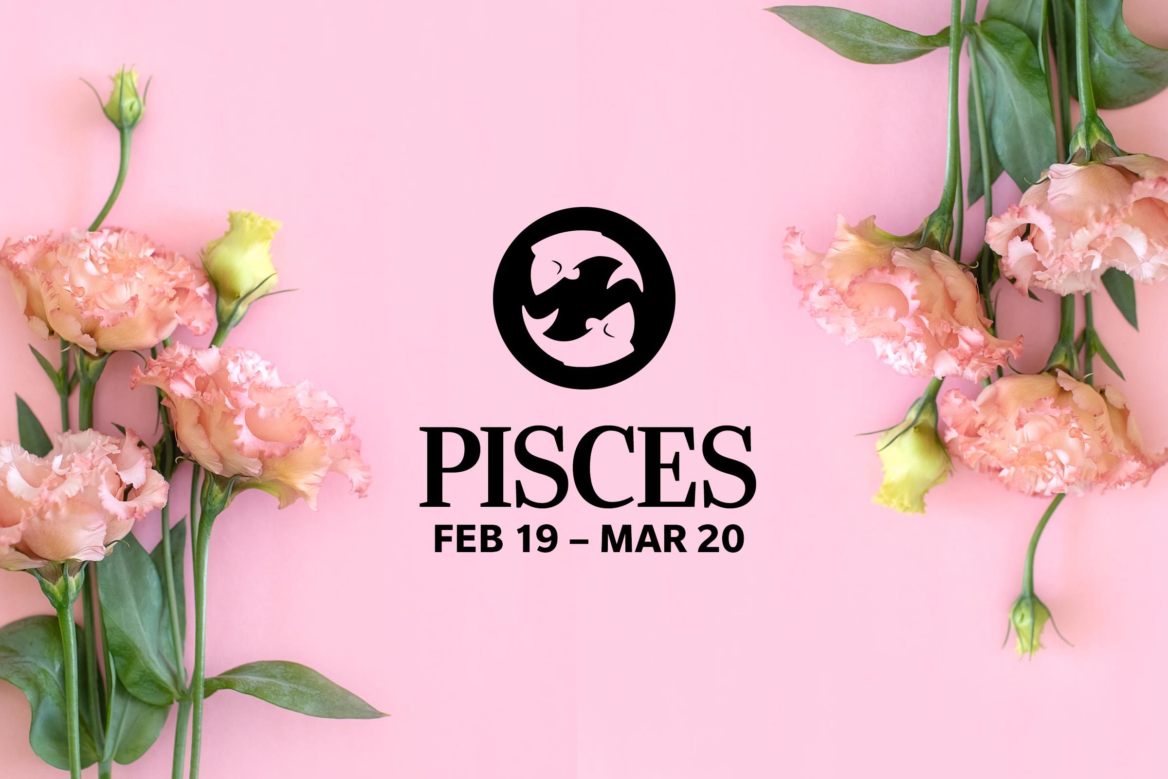 Pisces (February 19-March 20)