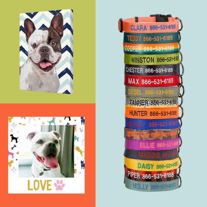 20 Best Personalized Pet Gifts For Dog And Cat Lovers