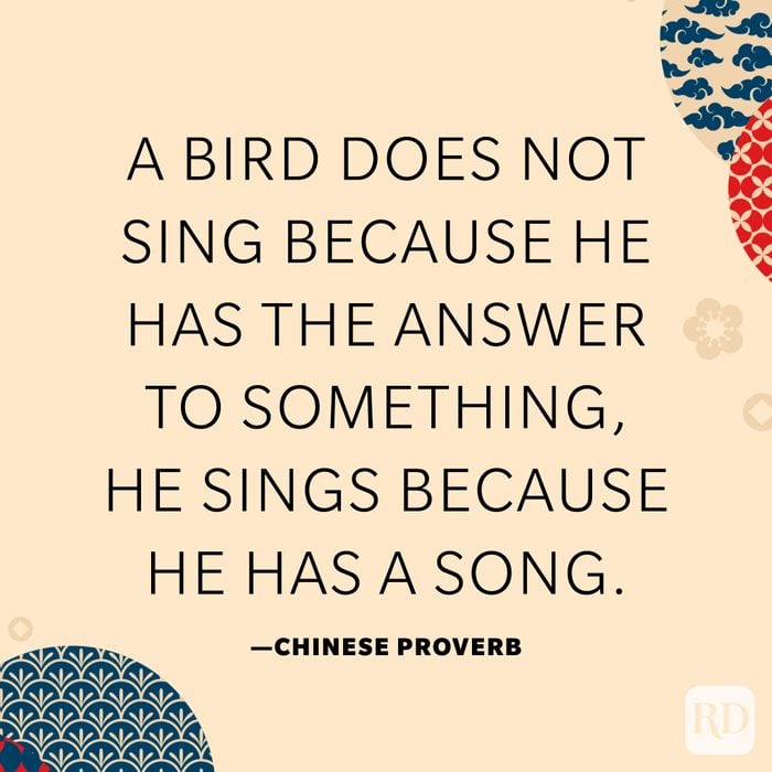 A bird does not sing because he has the answer to something, he sings because he has a song.