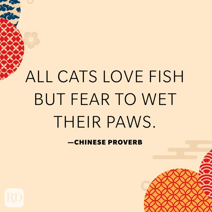 All cats love fish but fear to wet their paws.