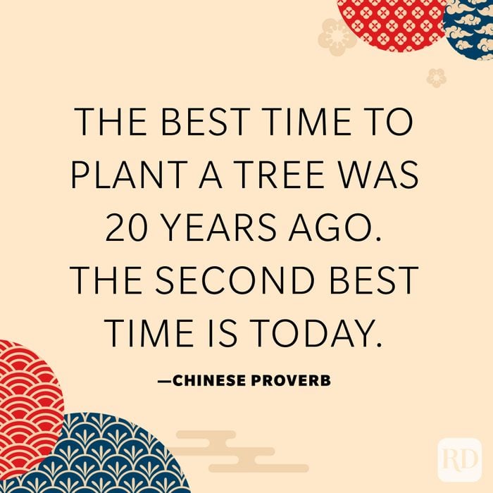 The best time to plant a tree was 20 years ago. The second best time is today.
