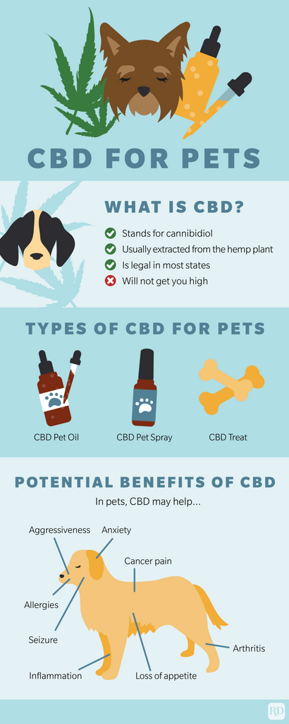 Infographie sur le CBD pour les animaux de compagnie avec des sections sur Qu'est-ce que le CBD ?, les types de CBD pour les animaux de compagnie et les avantages potentiels du CBD
