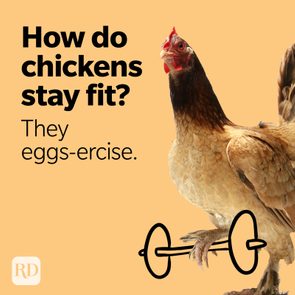 How do chickens stay fit? They eggs-ercise.