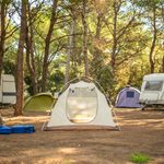 How to Camp for Free in the United States