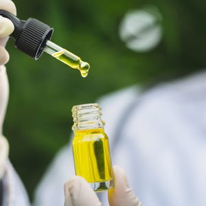 The Hands Of Scientists Dropping Marijuana Oil For Experimentation And Research, Ecological Hemp Plant Herbal Pharmaceutical Cbd Oil From A Jar.