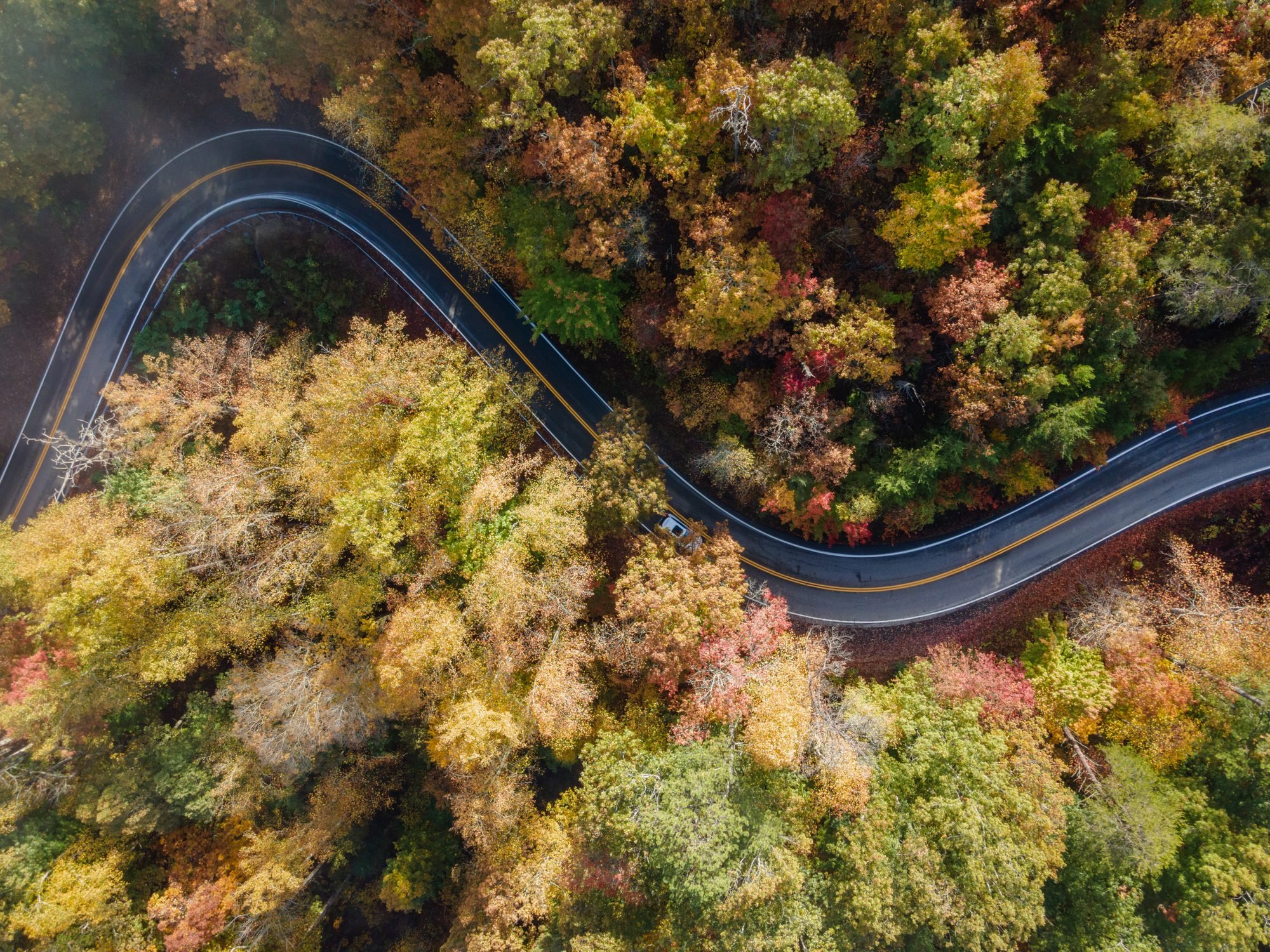 Aerial View of the Tail of the Dragon in the Fall
