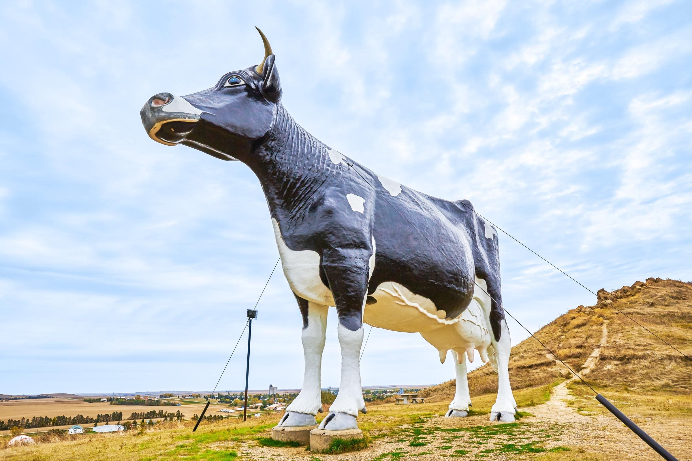 Salem Sue is the World's Largest Holstein Cow at 38 feet high and 50 feet long, North Dakota, USA