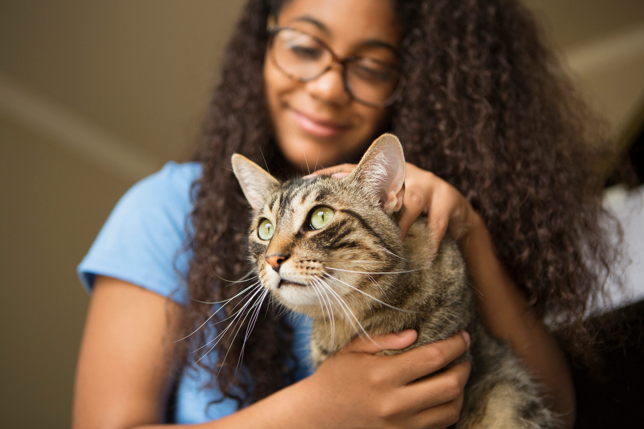 How to Train a Cat to Do 5 Life-Changing Things | Reader's Digest