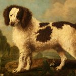 8 Extinct Dog Breeds You Won’t Believe Actually Existed