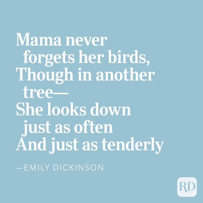 Mama never forgets her birds, Though in another tree— She looks down just as often And just as tenderly