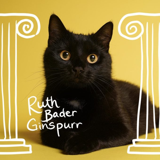 Cat between two roman columns named Ruth Bader Ginspurr