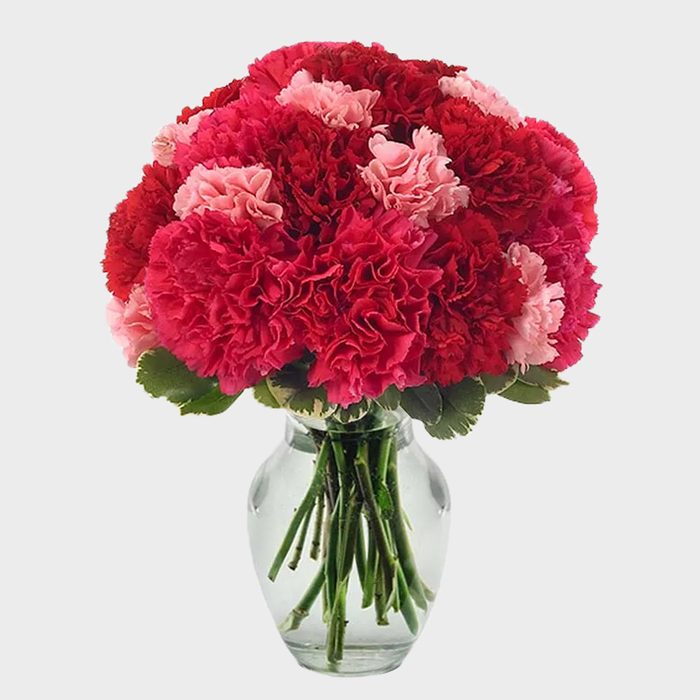 Very Berry Carnations