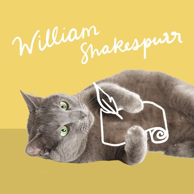 Cat writing on a scroll named William Shakespurr