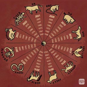 Chinese Zodiac Sign Wheel