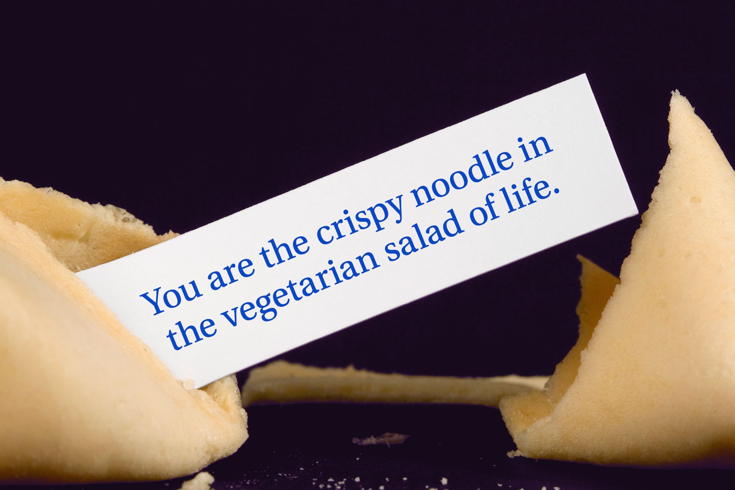 For image: You are the crispy noodle in the vegetarian salad of life.