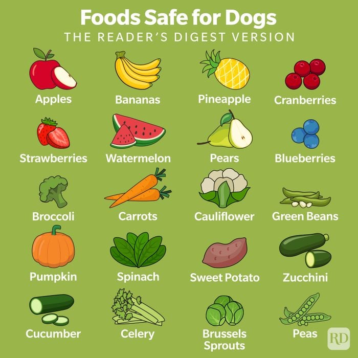 What Human Foods Can Dog Eat? 35 Foods That Are Safe For Pups