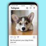 45 Pawfect Instagram Captions for Your Dog Photos