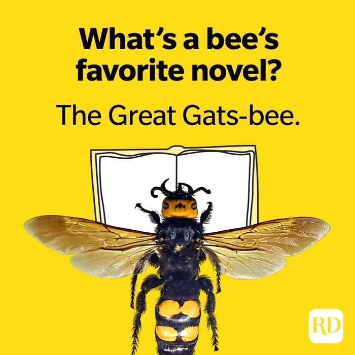 46 Bee Puns Your Whole Hive Will Love | Funny Bee Jokes & Honey Puns