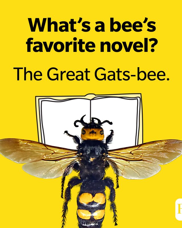 What's a bee's favorite novel? The Great Gats-Bee.