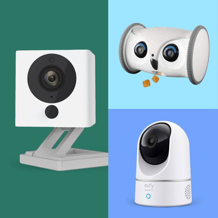 Grid of three cameras for watching pets at home