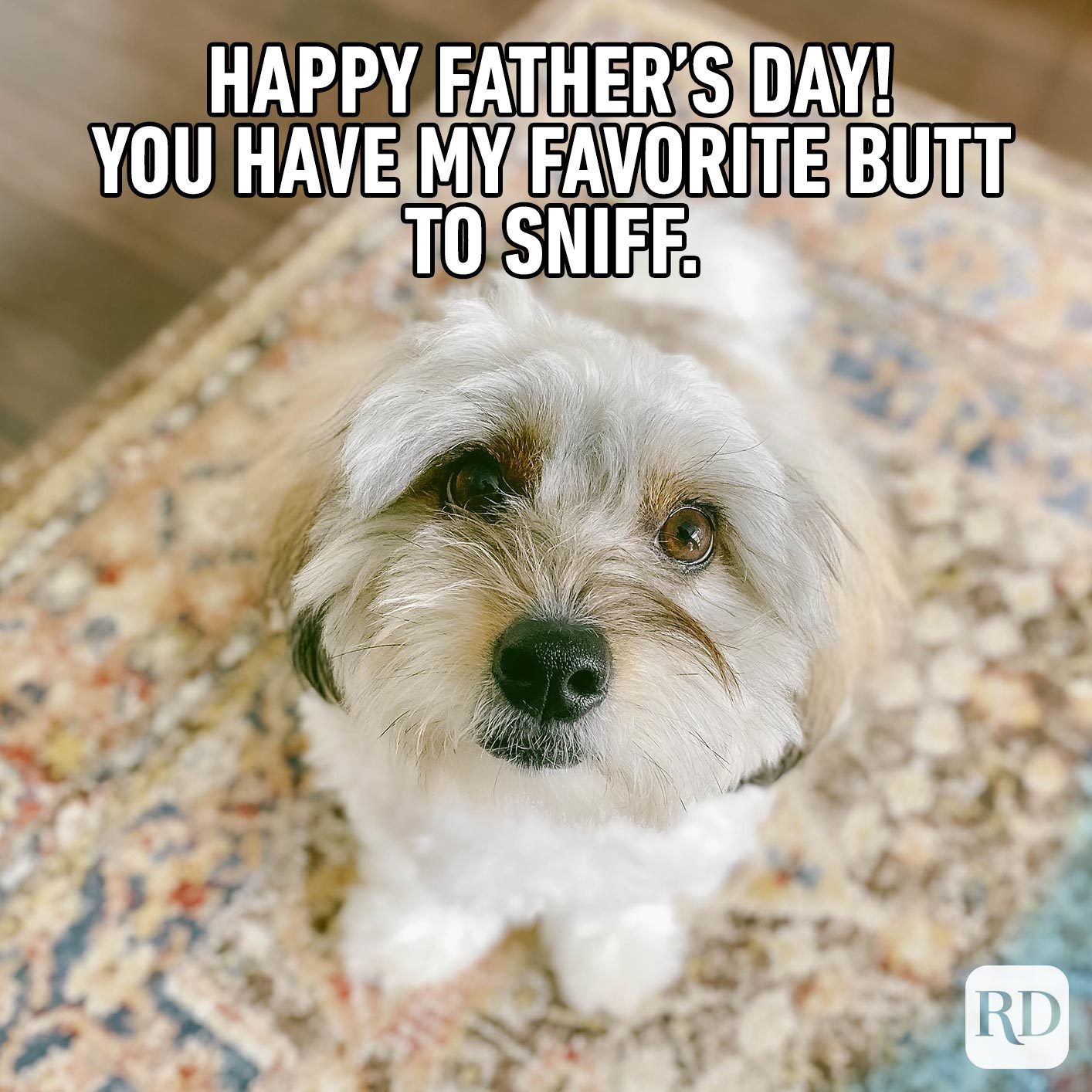 18 Funny Father's Day Memes | Reader's Digest