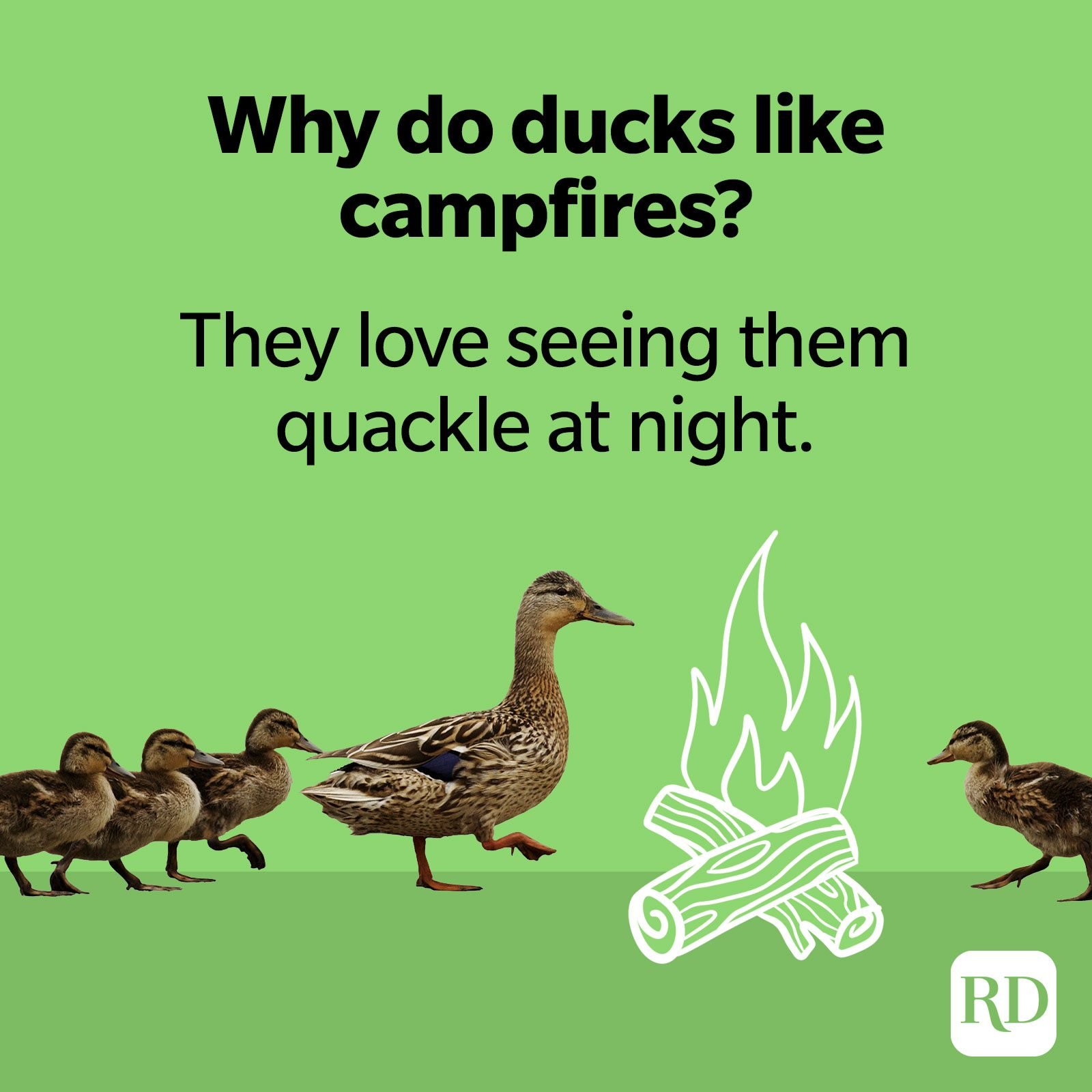 32. Why do ducks like campfires? They love seeing them quackle at night.